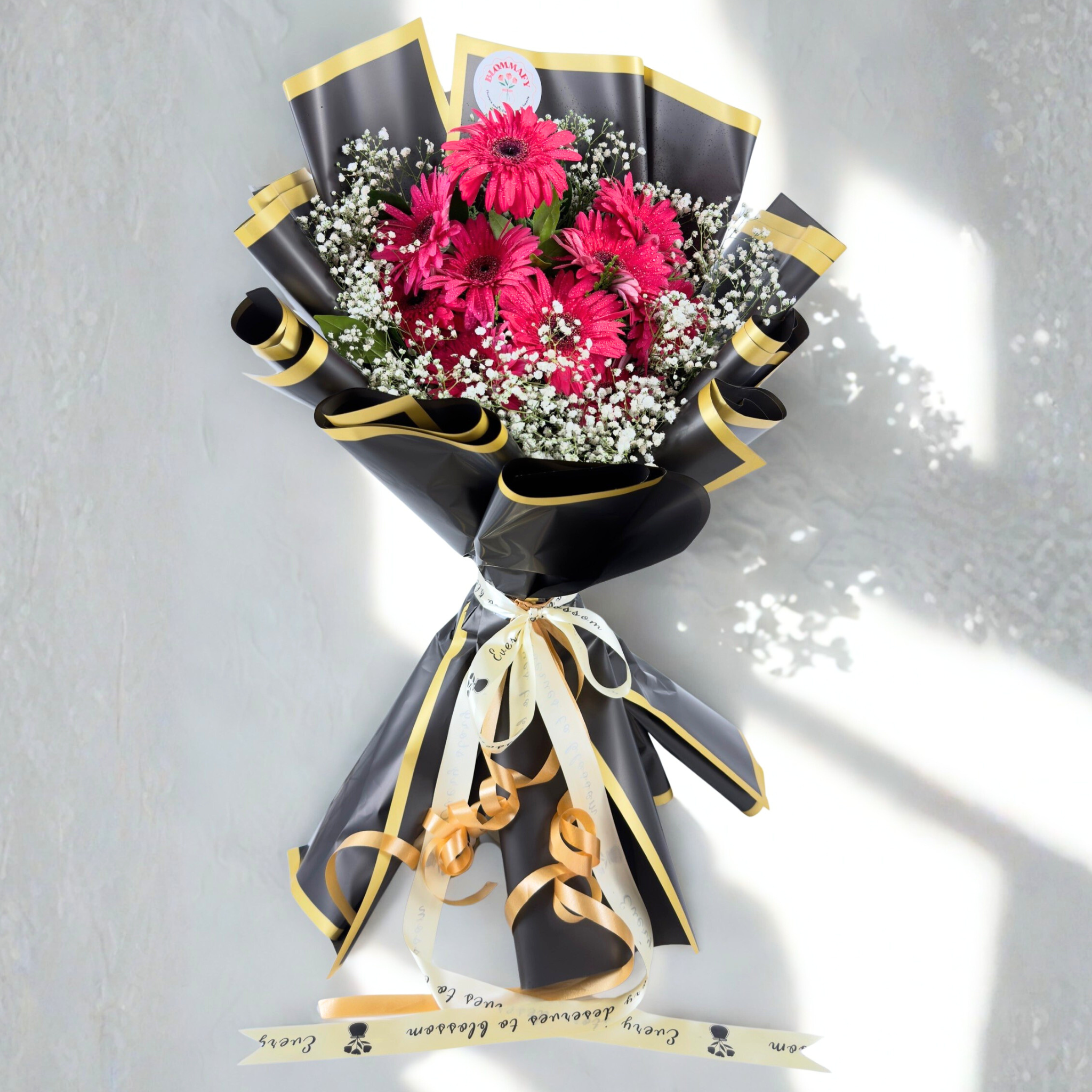 Midnight Bloom Gerbera