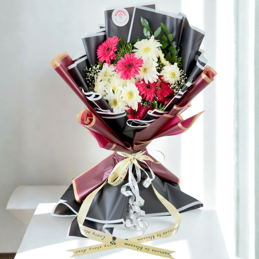 Midnight Celebration Gerbera