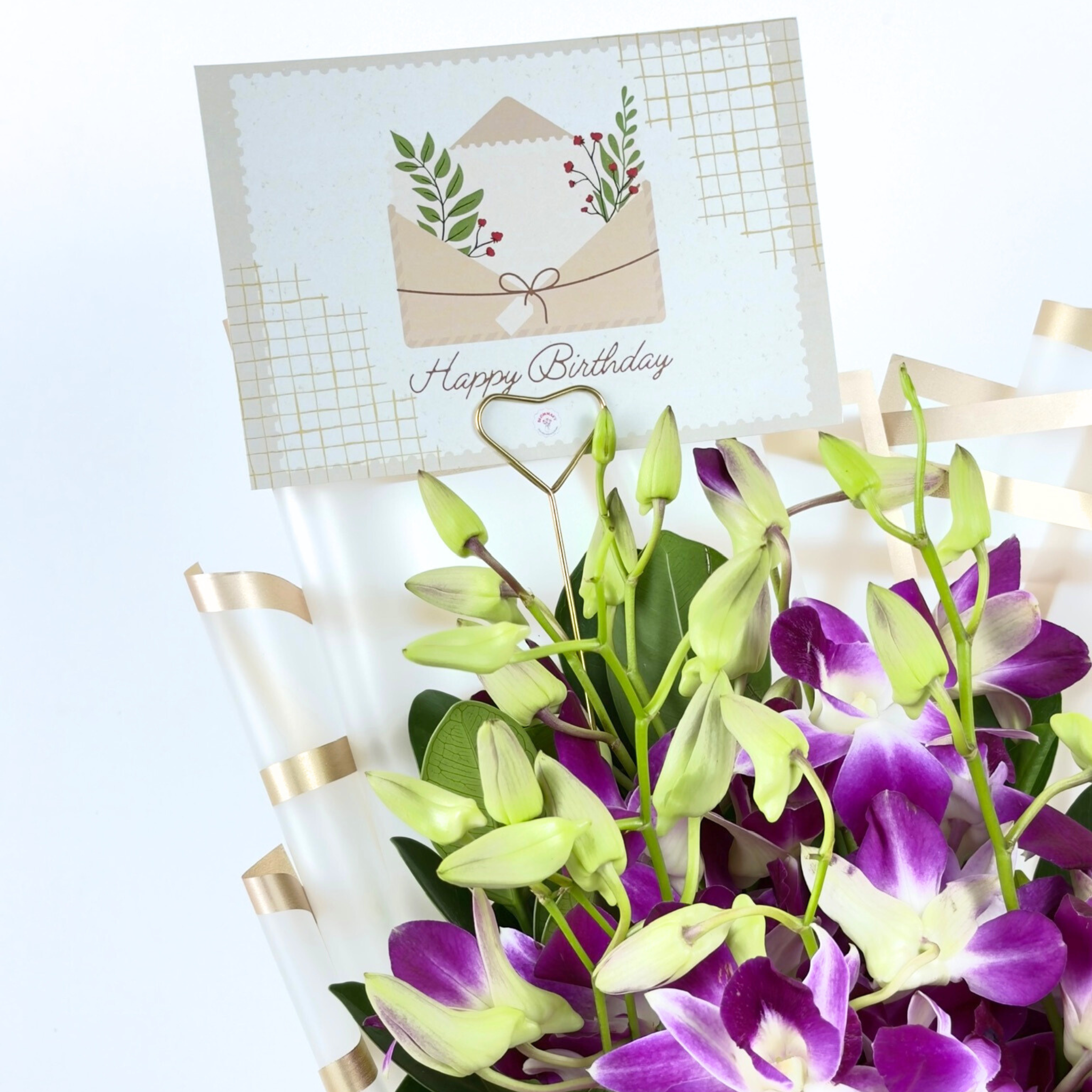 Royal Amethyst Orchid