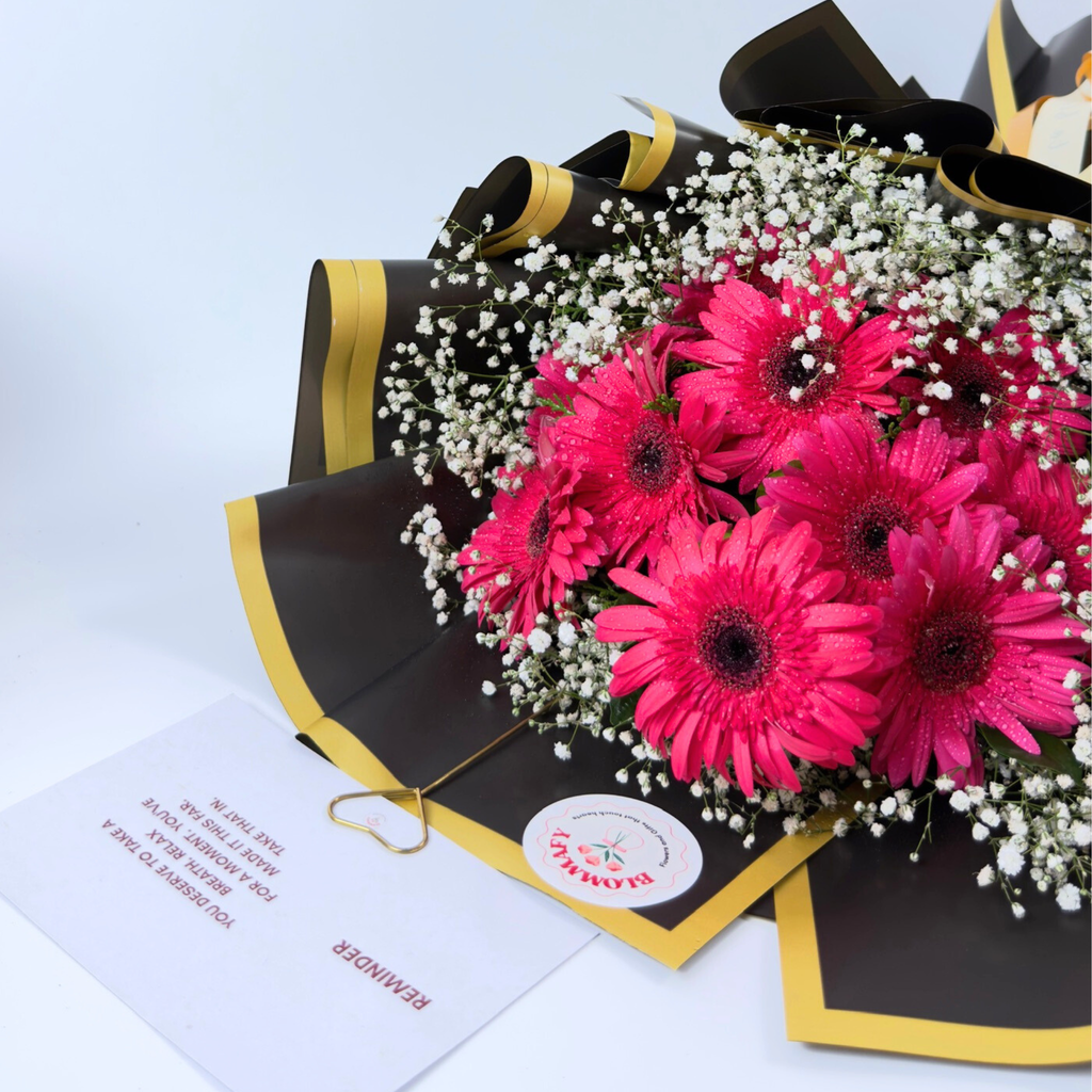 Midnight Bloom Gerbera