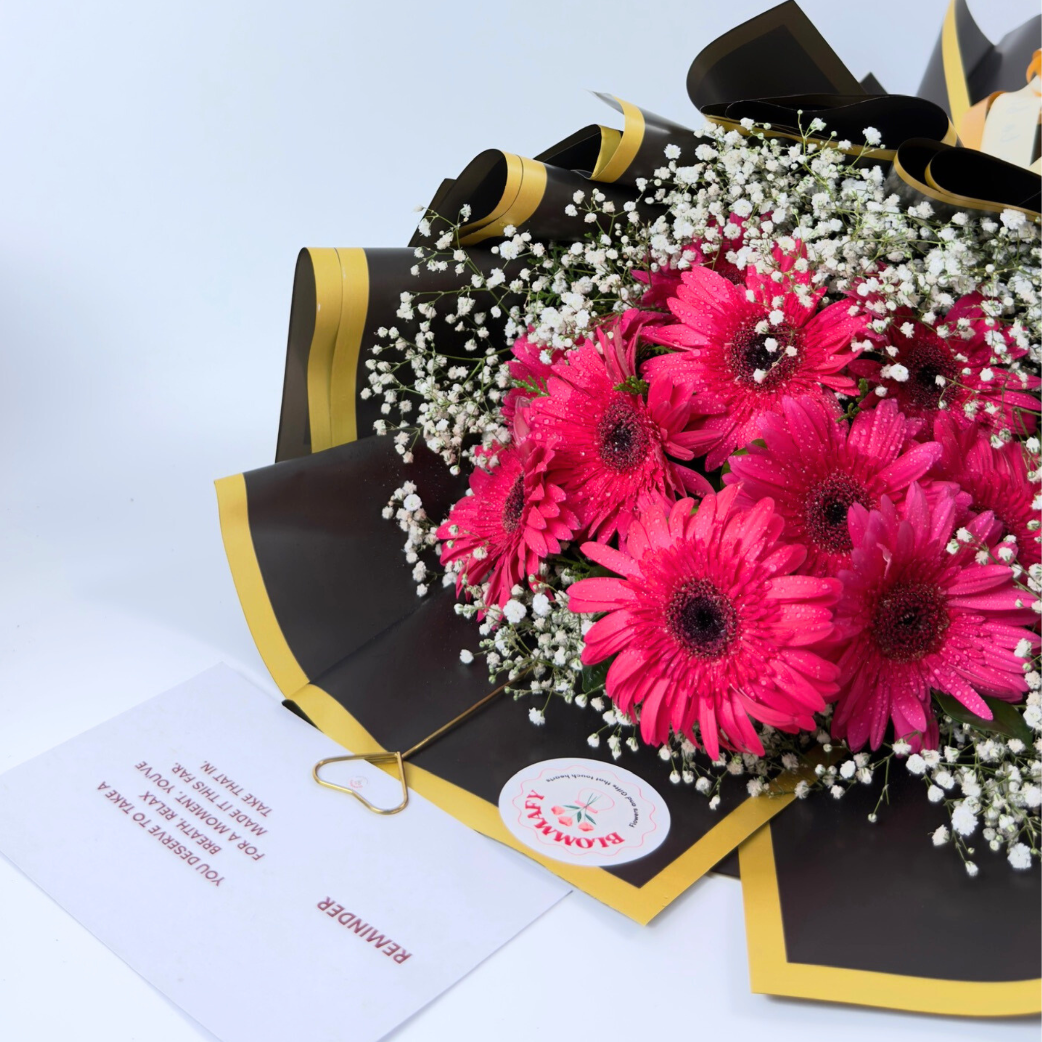 Midnight Bloom Gerbera