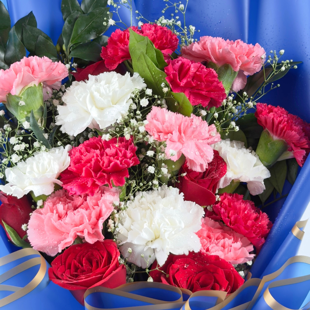 Royal Radiance Mixed Carnation