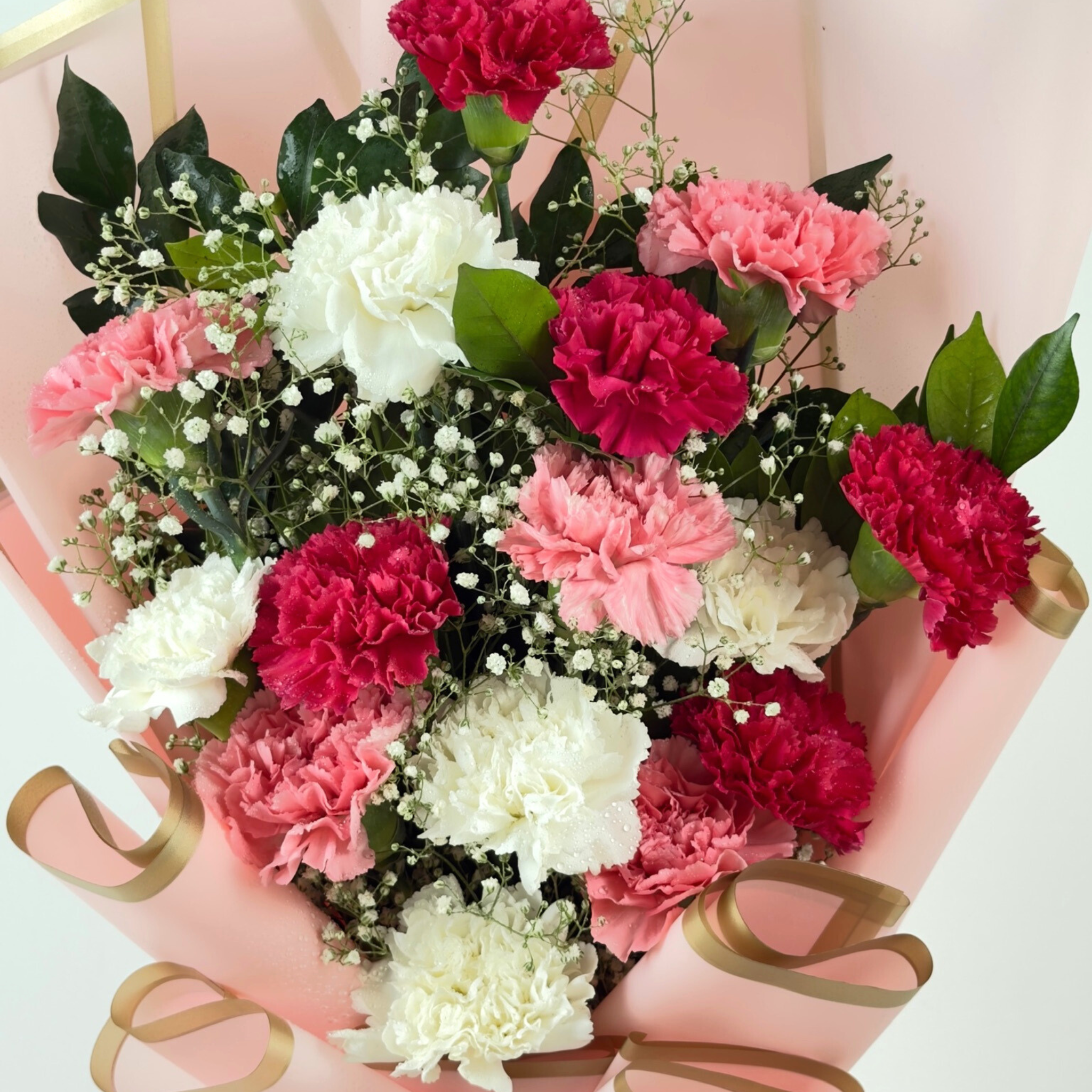 Sweetheart Blush Carnation