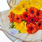 Sunburst 20 Gerbera Delight