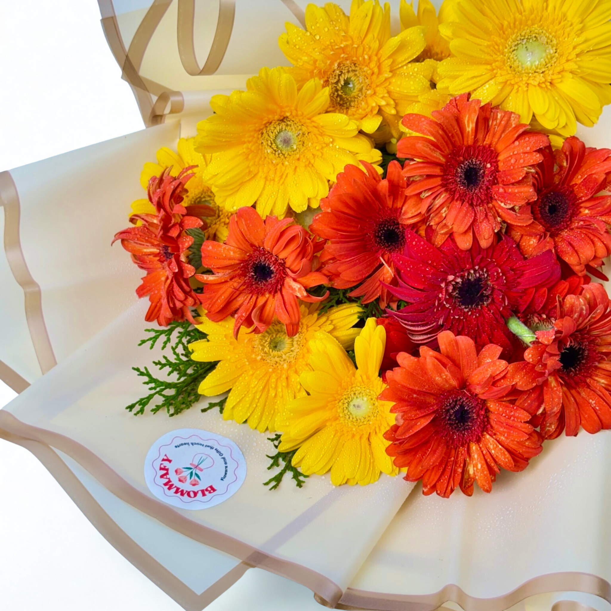 Sunburst 20 Gerbera Delight