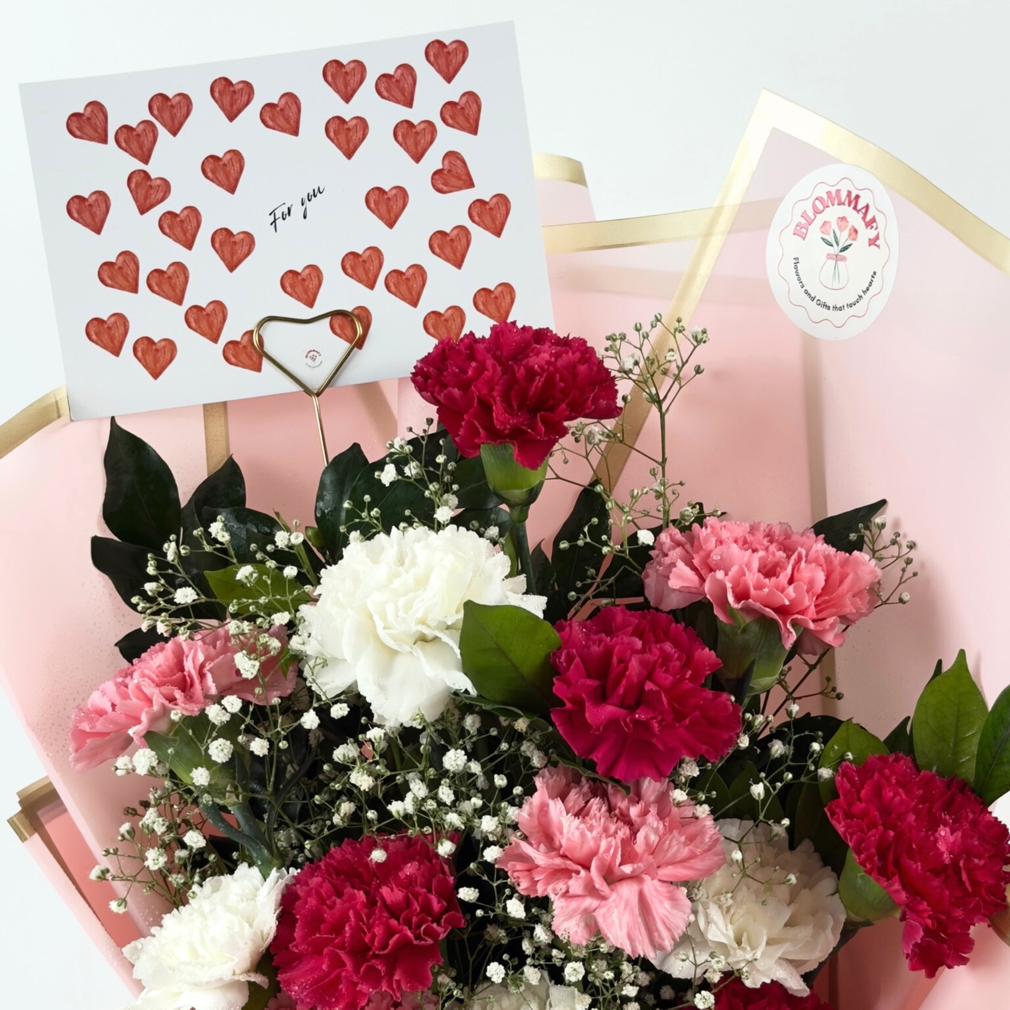 Sweetheart Blush Carnation