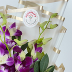 Royal Amethyst Orchid