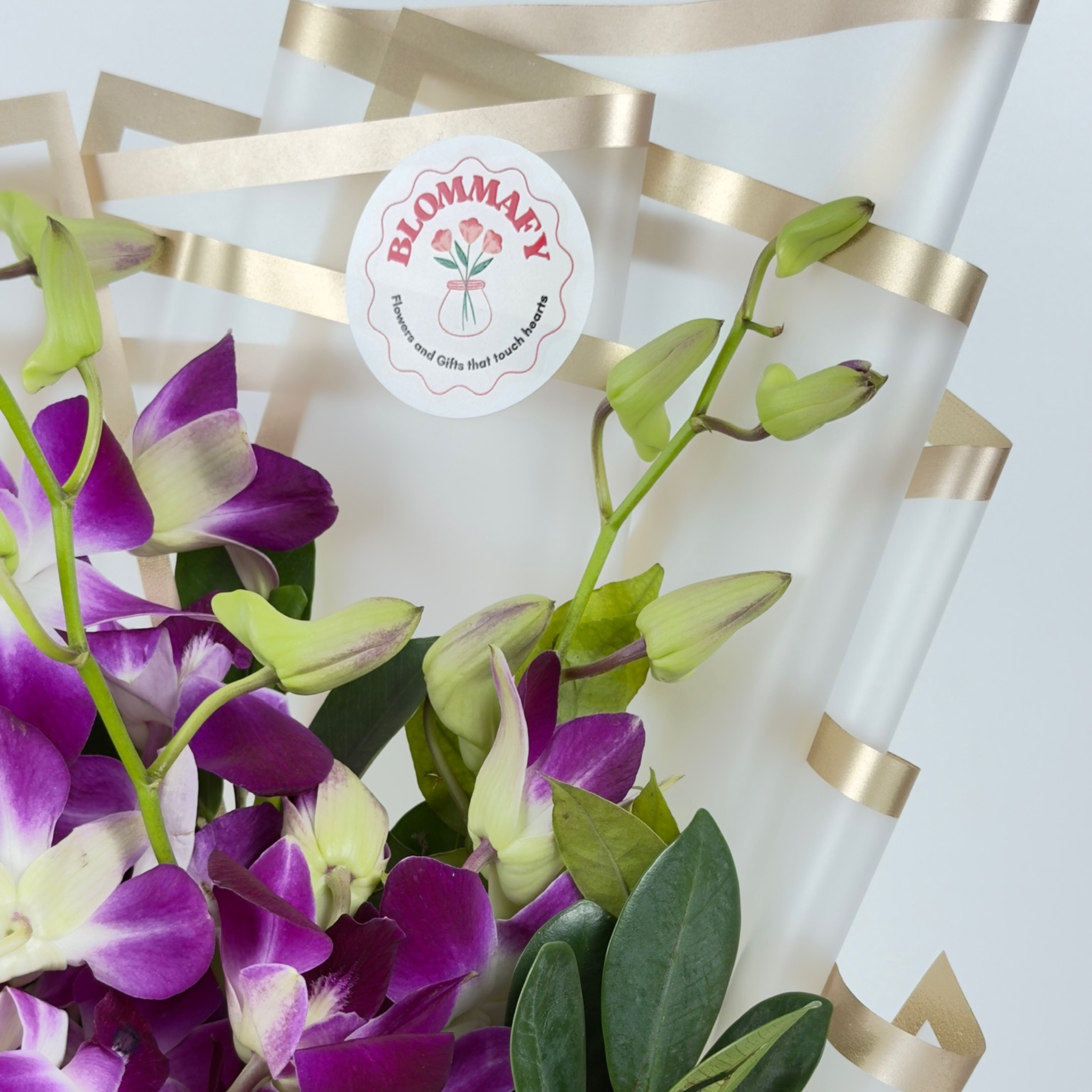 Royal Amethyst Orchid