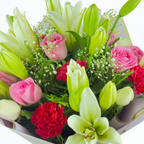 Blooming Elegance lily