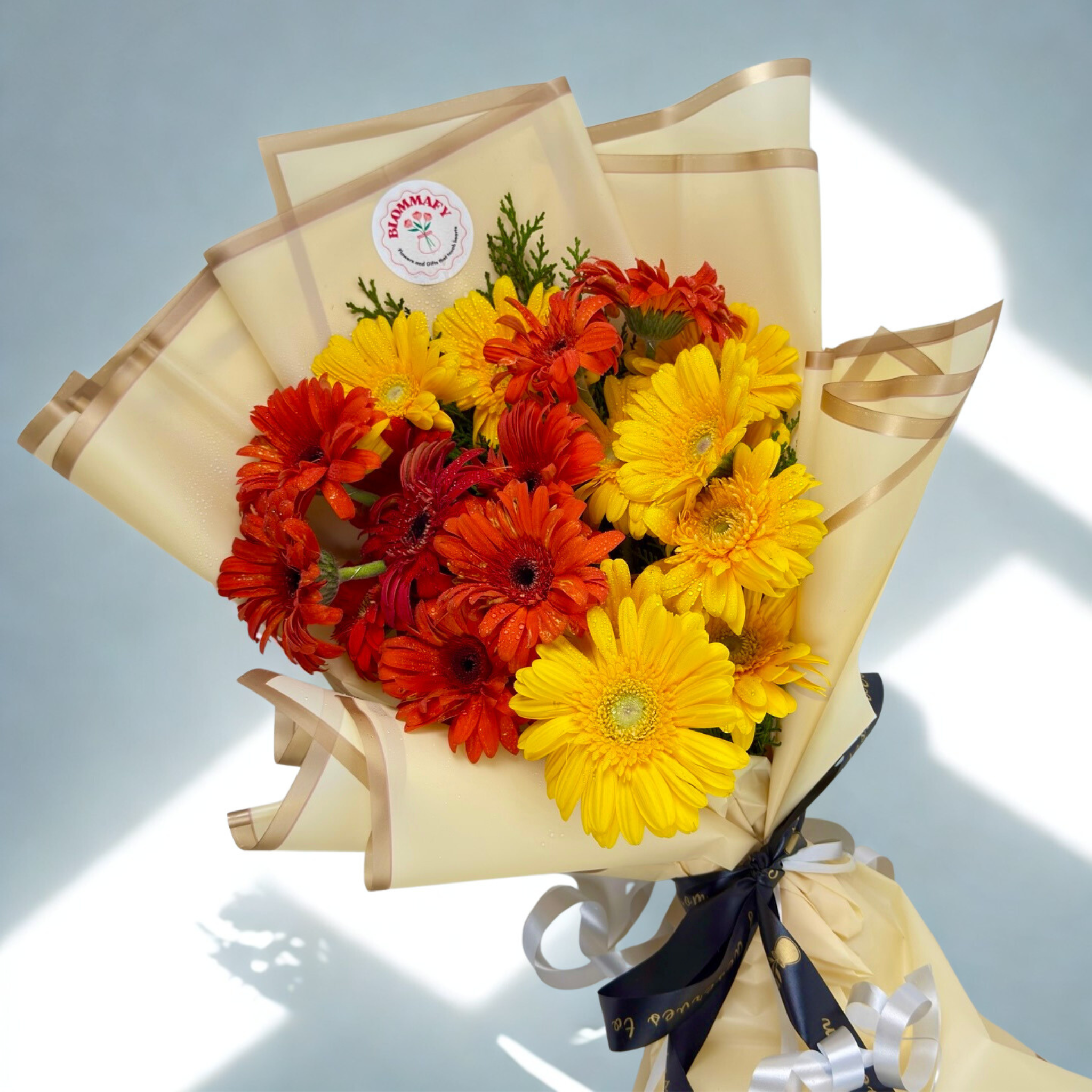 Sunburst 20 Gerbera Delight