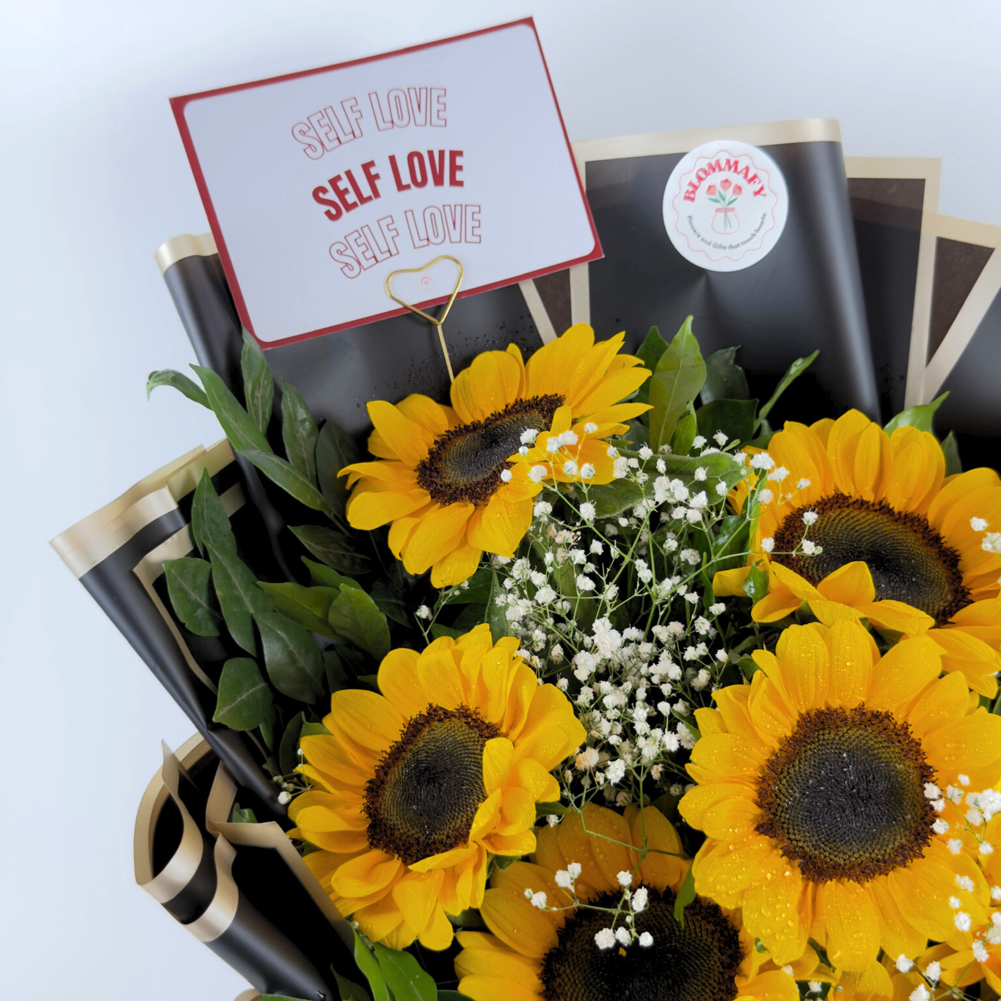 Midnight Sunshine Sunflower