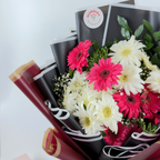 Midnight Celebration Gerbera