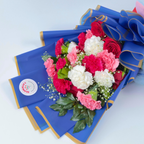 Royal Radiance Mixed Carnation