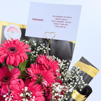 Midnight Bloom Gerbera