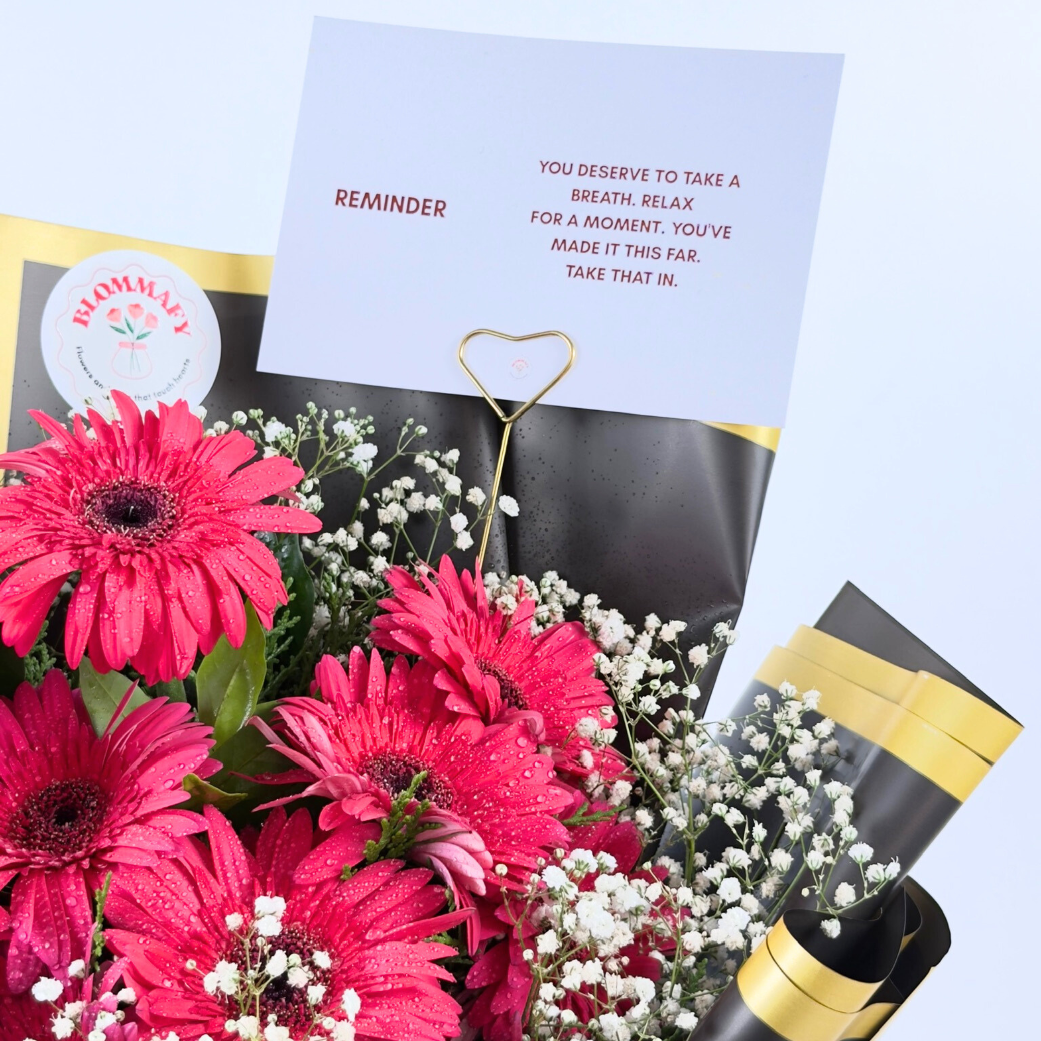 Midnight Bloom Gerbera