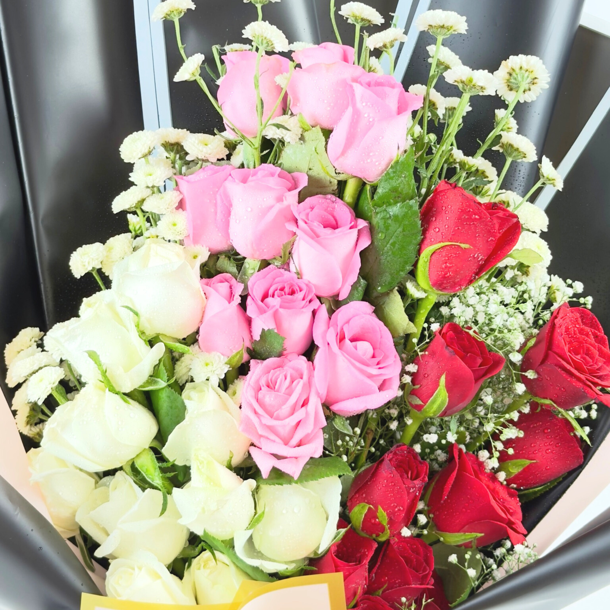 Trio Hearts Rose Harmony