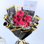 Midnight Bloom Gerbera