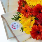 Sunburst 20 Gerbera Delight