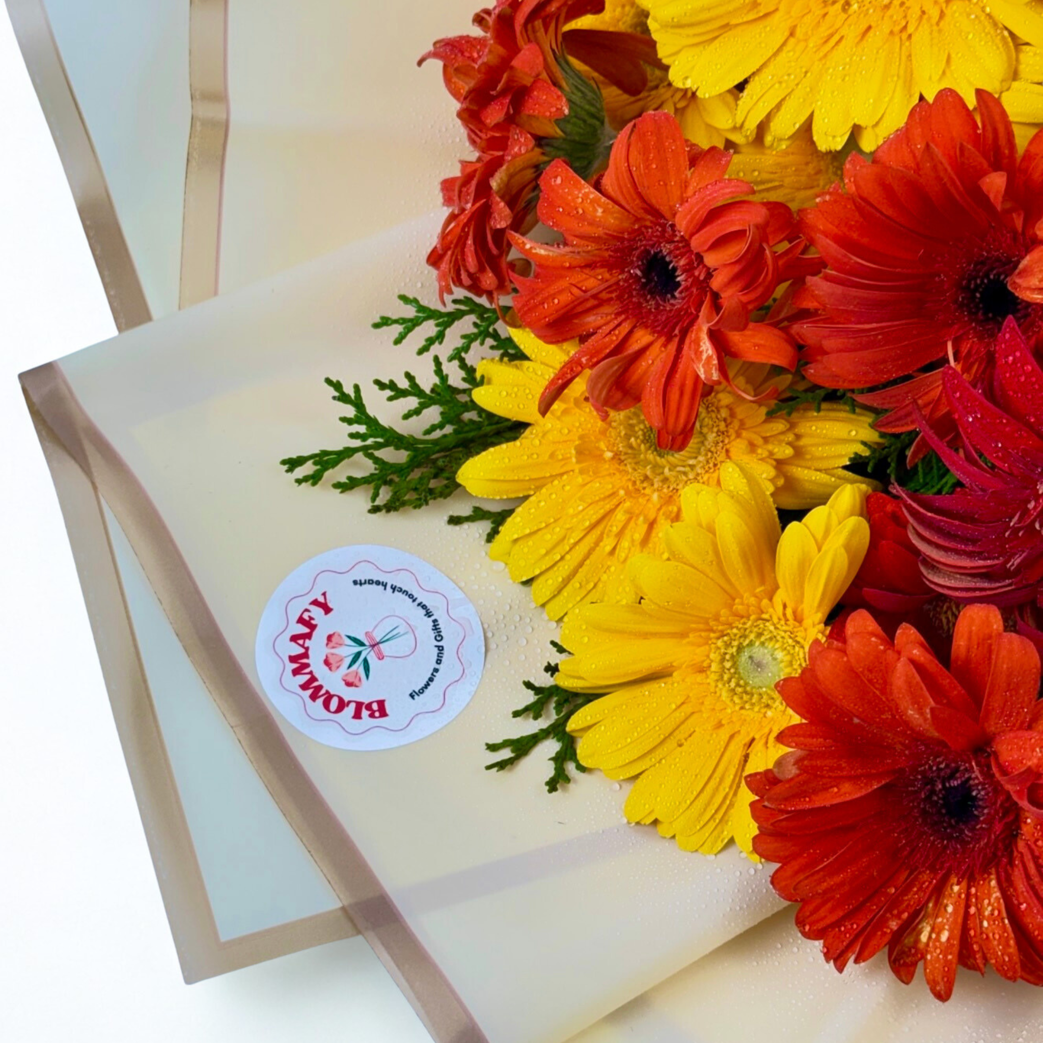 Sunburst 20 Gerbera Delight