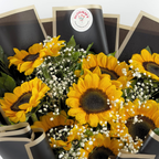Midnight Sunshine Sunflower
