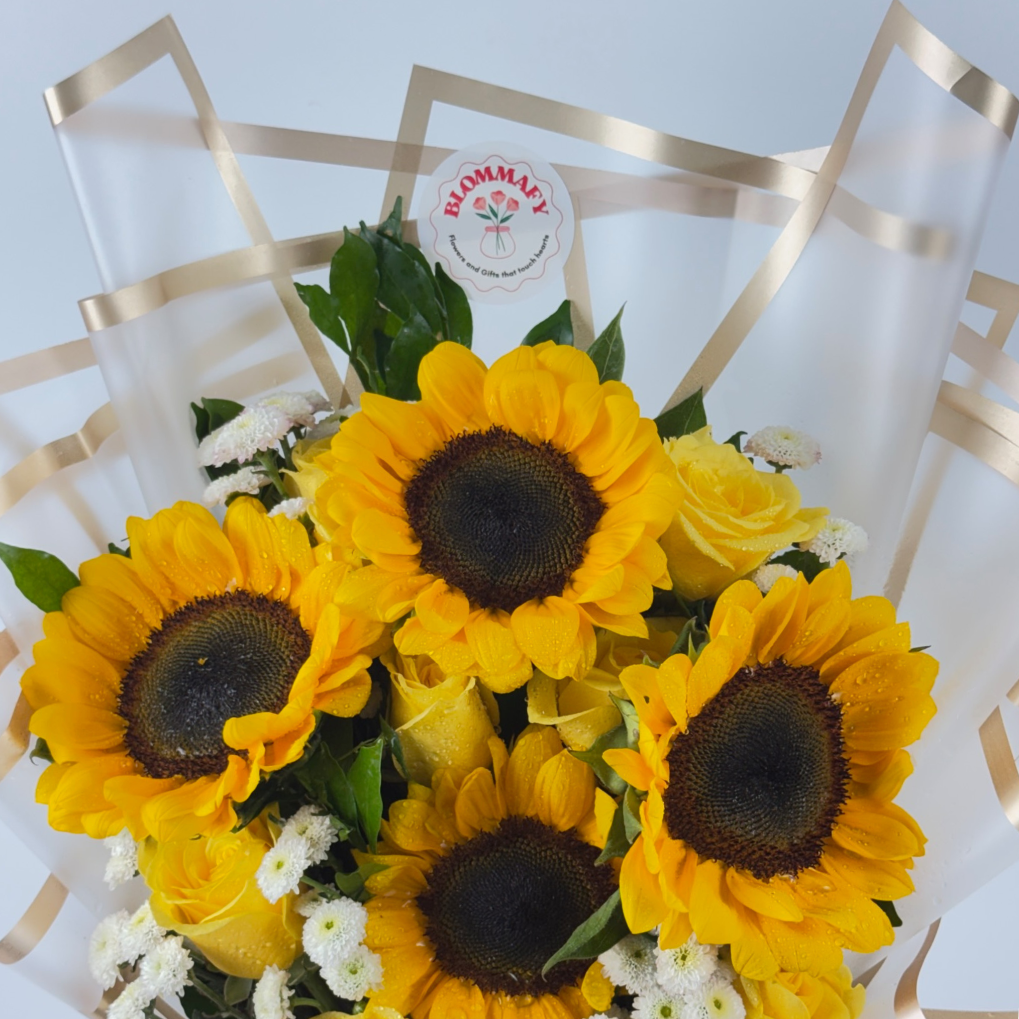 Golden Horizon Sunflower