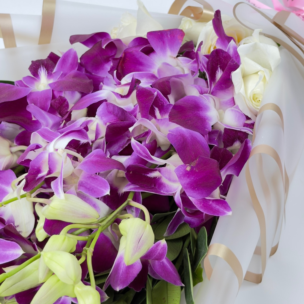 Royal Amethyst Orchid