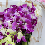 Royal Amethyst Orchid