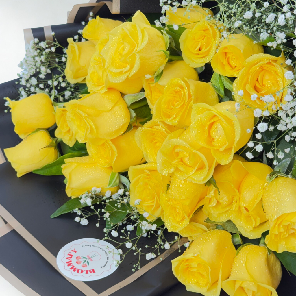 Golden Glow Yellow Rose