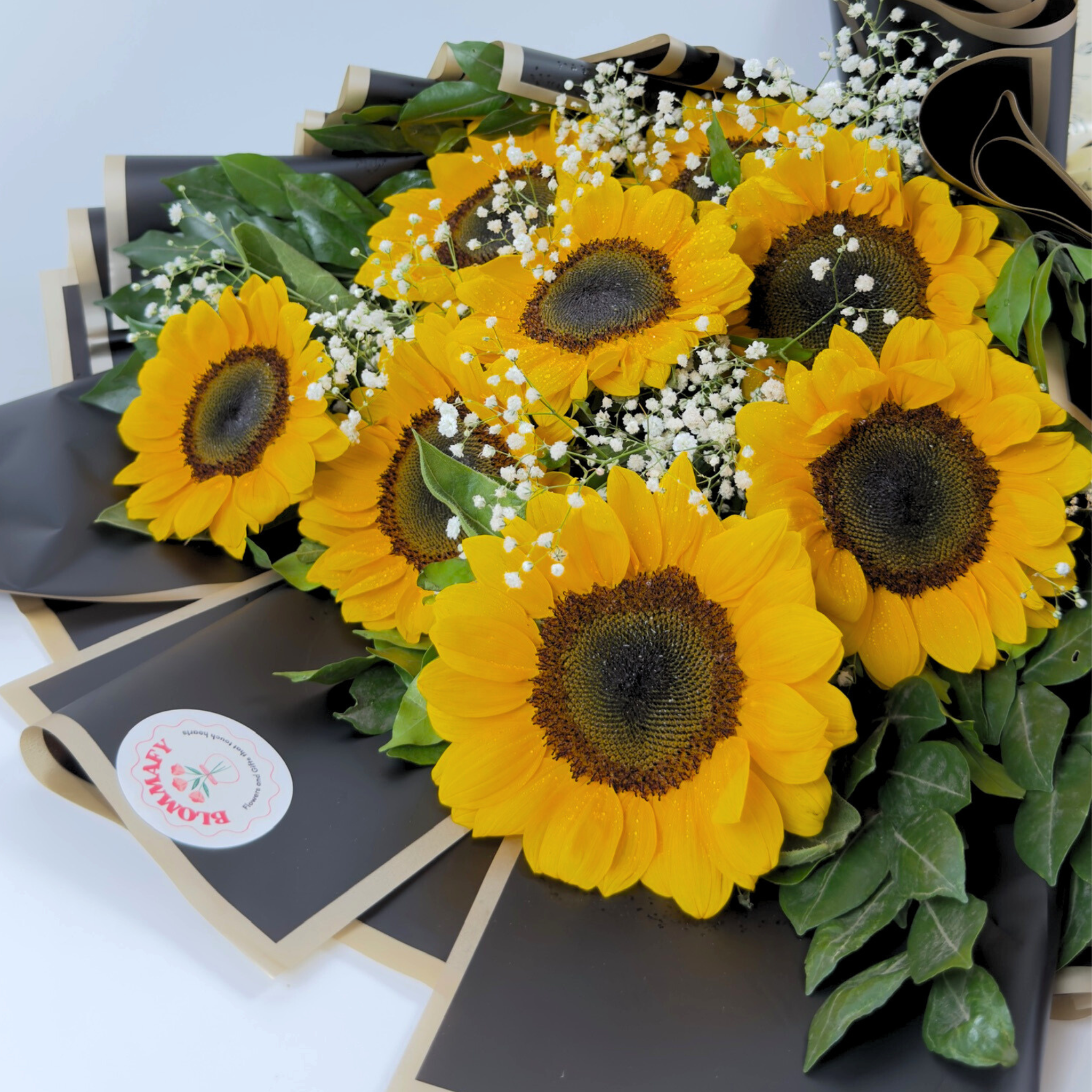 Midnight Sunshine Sunflower